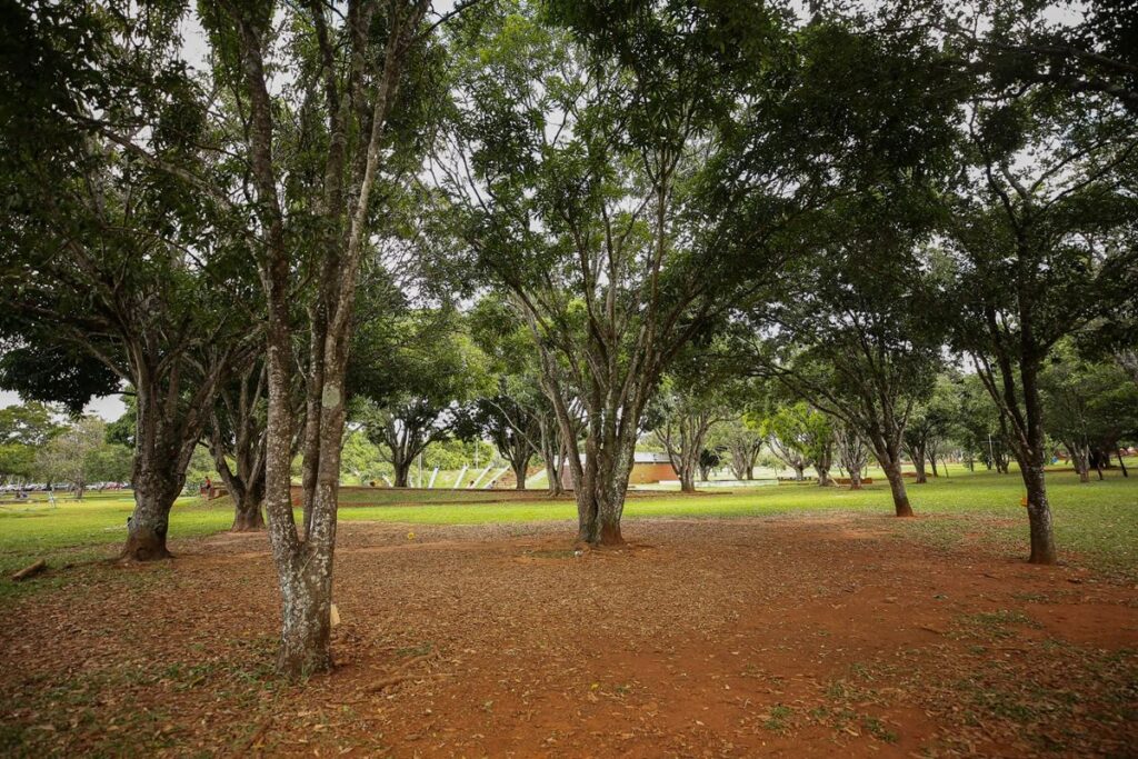 parque-da-cidade-tera-novo-cercamento-a-partir-de-segunda-feira-(4/8)