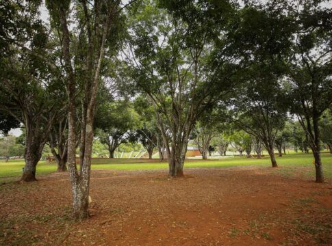 parque-da-cidade-tera-novo-cercamento-a-partir-de-segunda-feira-(4/8)