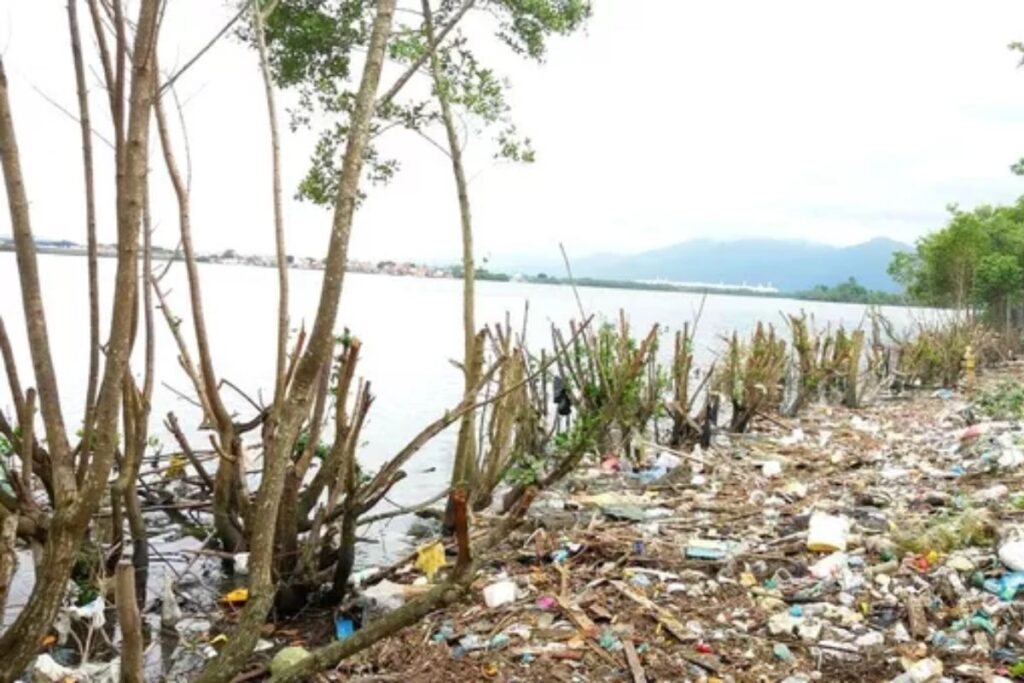 misterio:-corpo-em-decomposicao-e-encontrado-em-mangue-no-litoral