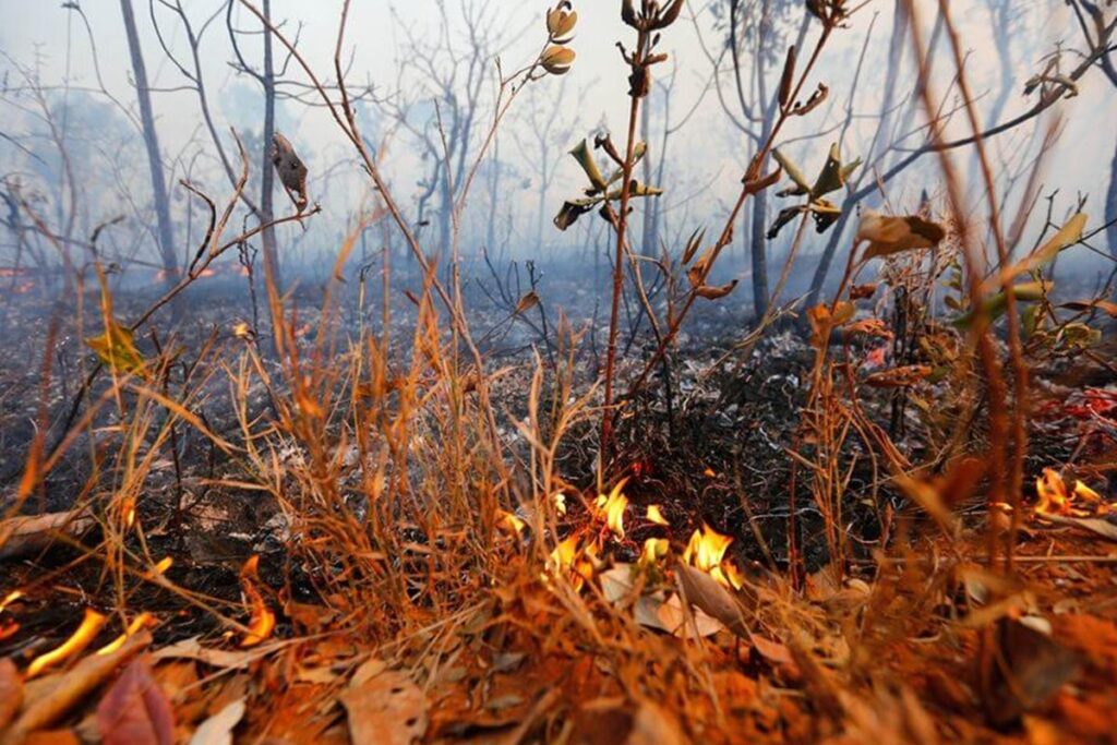 incendio-atinge-20-mil-metros-quadrados-de-vegetacao-no-df