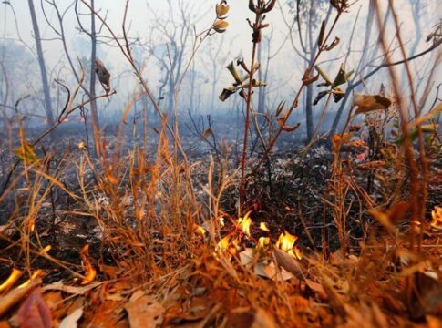 incendio-atinge-20-mil-metros-quadrados-de-vegetacao-no-df