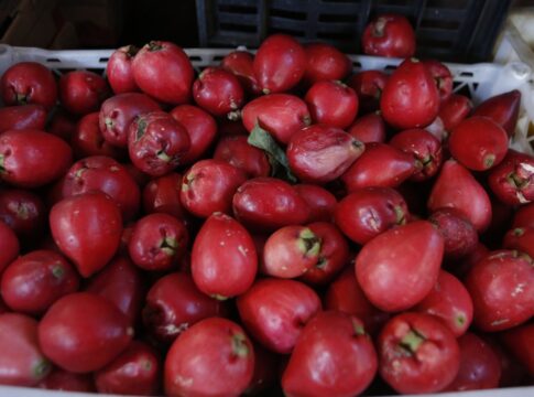 conheca-fruta-que-ajuda-a-prevenir-o-infarto-e-fortalece-o-coracao