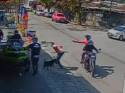 video:-cao-defende-dono-em-tentativa-de-roubo-e-frustra-assalto