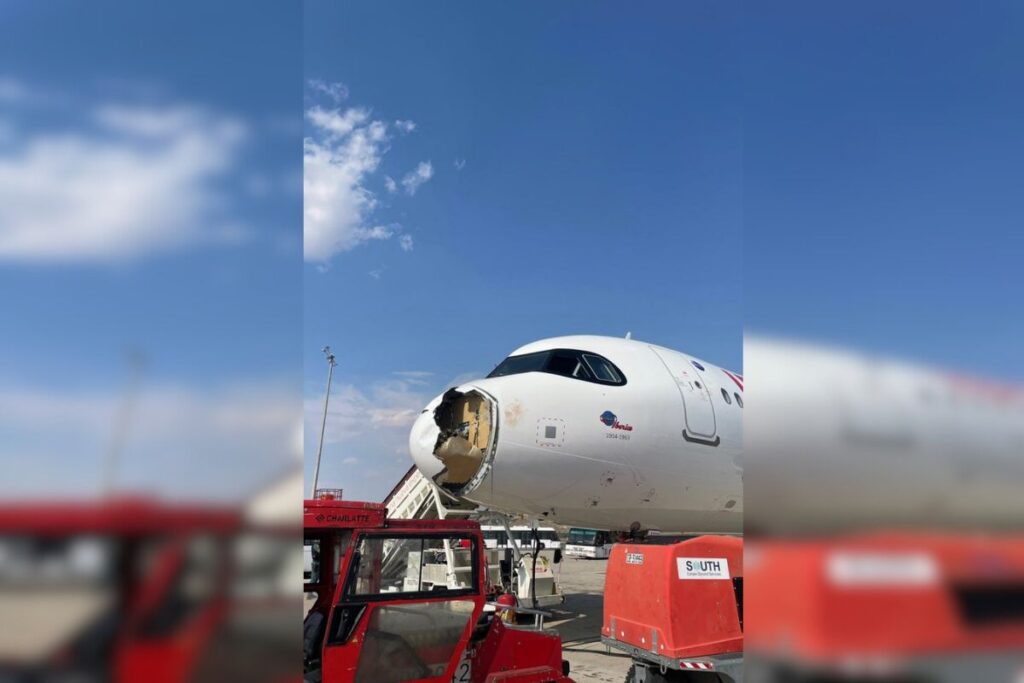 aviao-faz-pouso-de-emergencia-apos-colidir-com-passaros-na-espanha