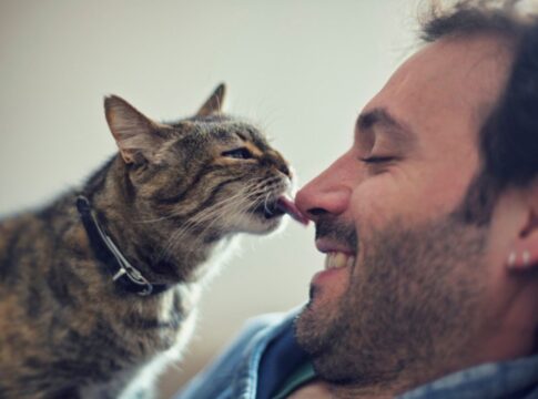 veja-4-formas-de-se-tornar-a-pessoa-preferida-do-seu-gato