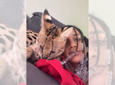 gato-de-luxo:-oruam-acumula-multas-de-r$-40,5-mil-com-o-ibama