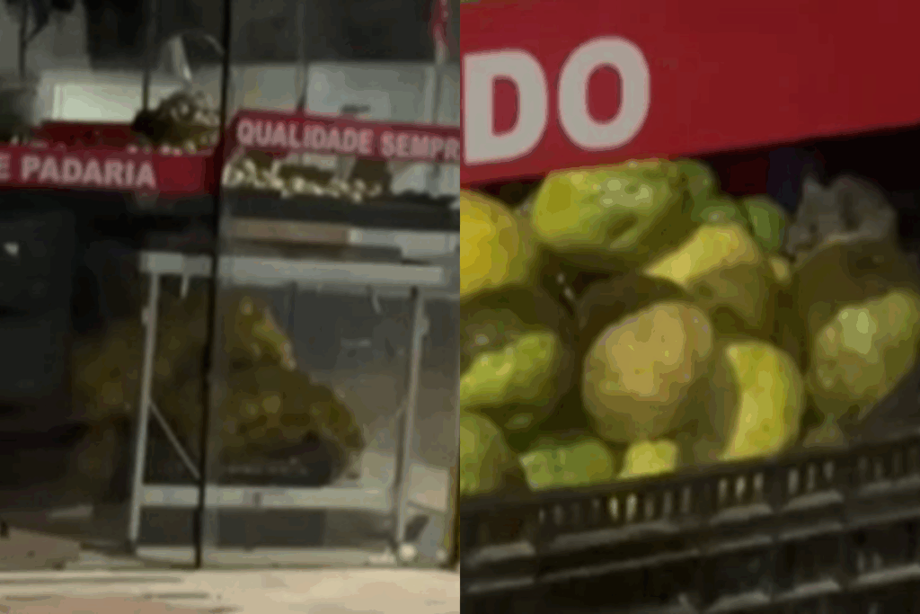 mulher-flagra-ratos-em-mercado-e-local-e-interditado-no-interior.-veja