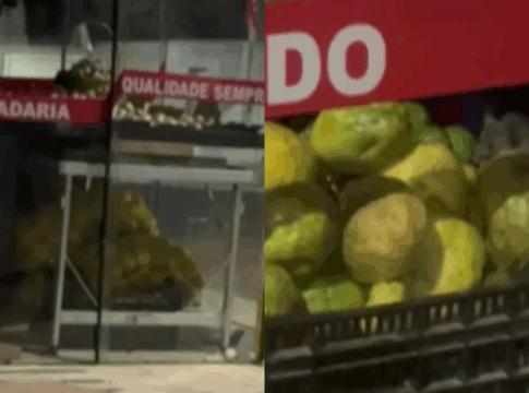mulher-flagra-ratos-em-mercado-e-local-e-interditado-no-interior.-veja