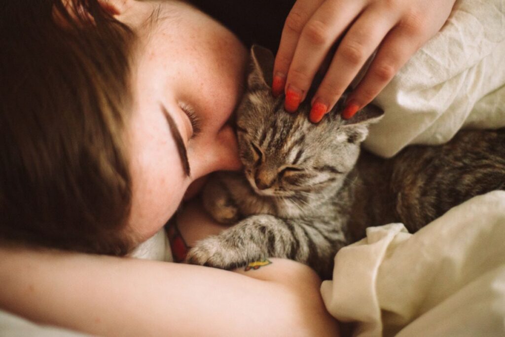 mora-em-apartamento?-nove-dicas-para-deixar-seu-gato-feliz