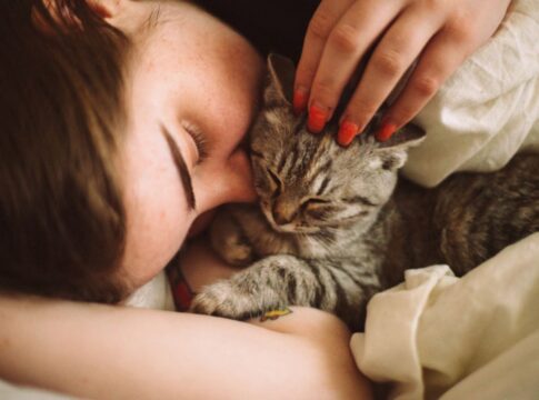 mora-em-apartamento?-nove-dicas-para-deixar-seu-gato-feliz