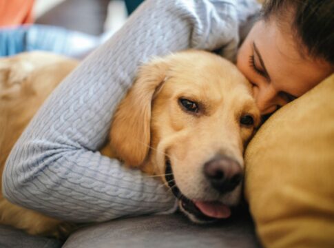 sete-destinos-incriveis-para-viajar-com-seu-cachorro-pelo-brasil