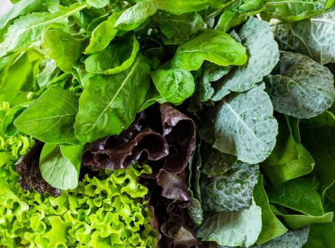 folha-verde-comum-prolonga-sensacao-de-saciedade-e-beneficia-intestino