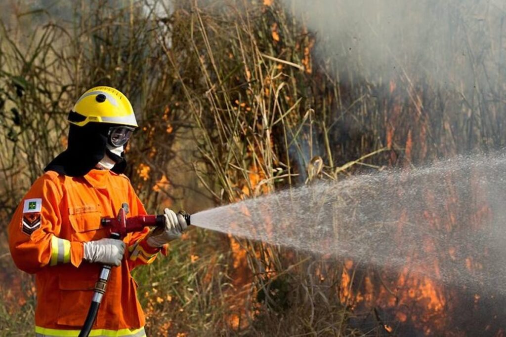 cbmdf-combate-incendios-em-area-igual-a-300-campos-de-futebol