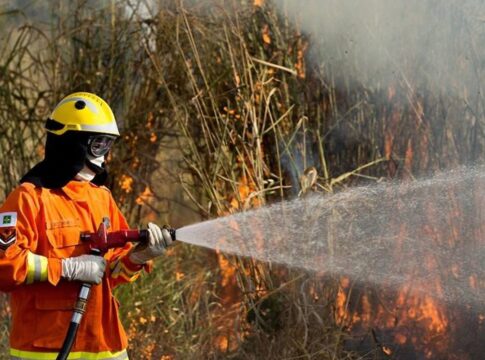cbmdf-combate-incendios-em-area-igual-a-300-campos-de-futebol
