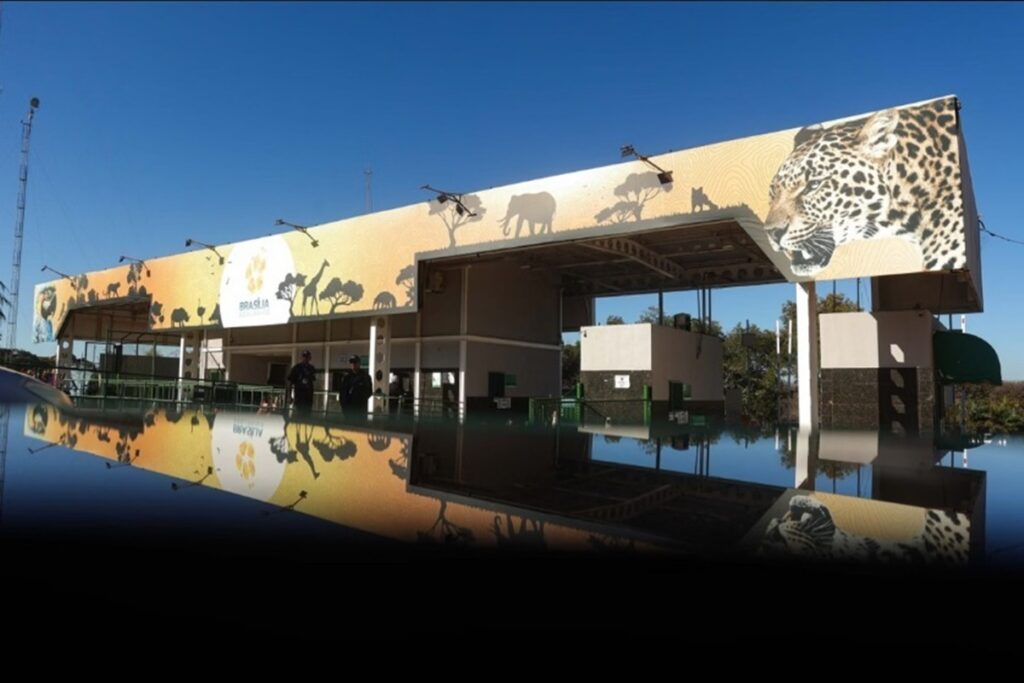 zoo-de-brasilia-abre-1.840-vagas-para-experiencias-noturnas-e-diurnas