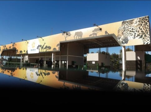 zoo-de-brasilia-abre-1.840-vagas-para-experiencias-noturnas-e-diurnas