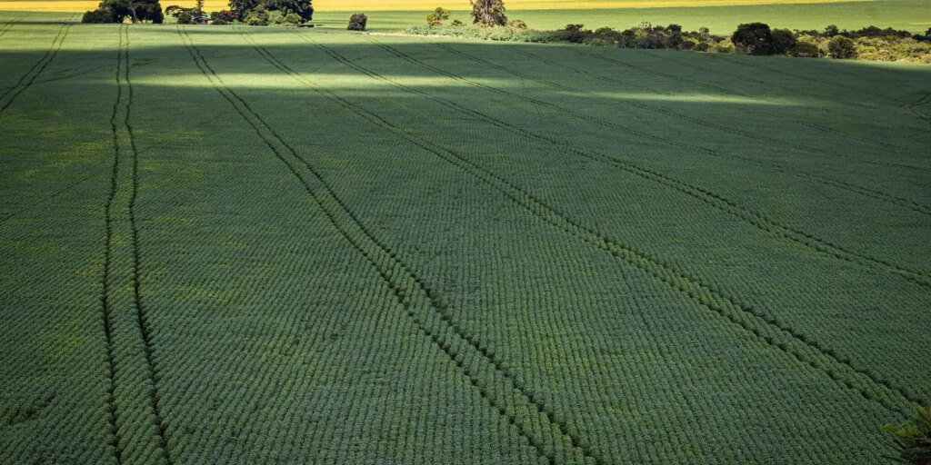 cop30:-agro-quer-se-posicionar-como-parte-da-solucao,-diz-associacao