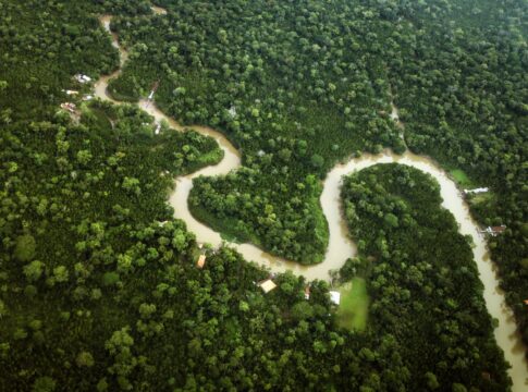 jovens-pautam-protagonismo-de-periferias-e-povos-indigenas-na-cop30