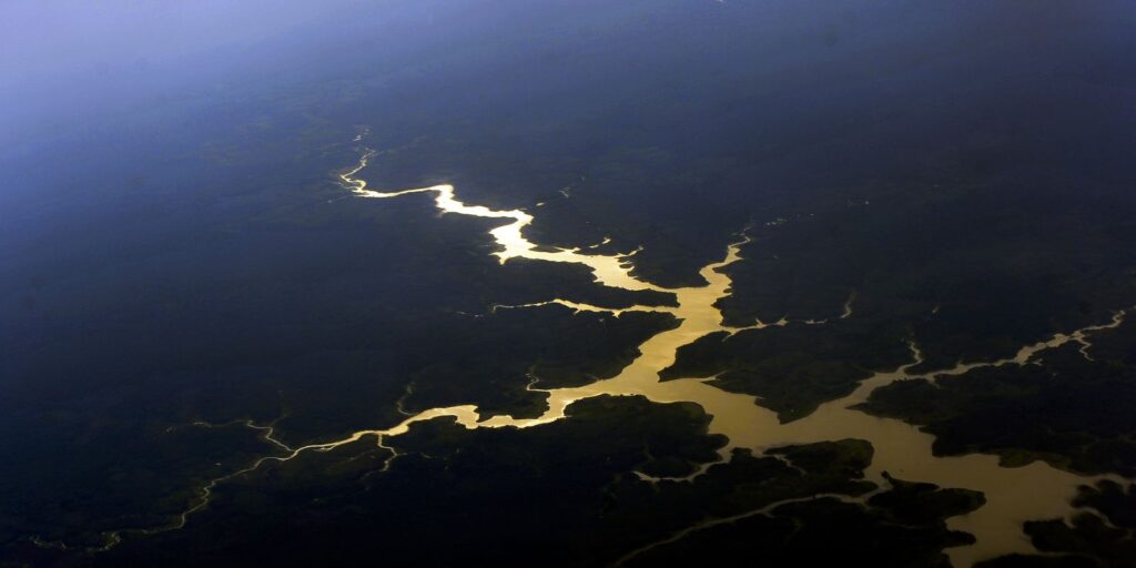 fundo-amazonia-completa-17-anos-com-novos-investimentos