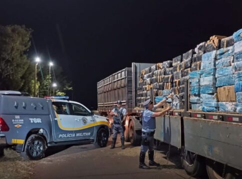 policia-de-sp-encontra-2-ton-de-maconha-escondidas-em-fardos-de-feno