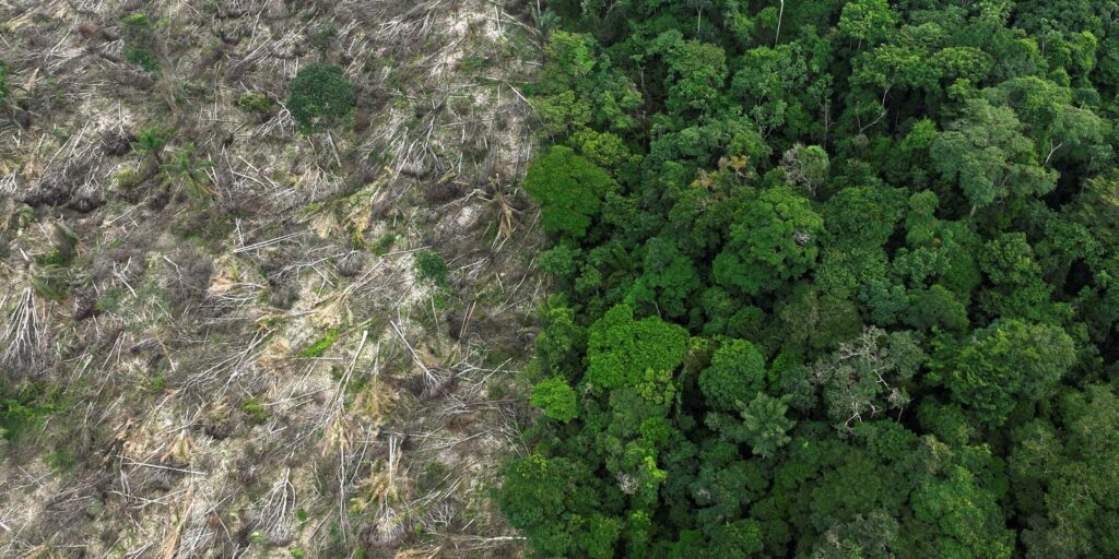 brasil-perdeu-111,7-milhoes-de-hectares-de-areas-naturais-em-40-anos