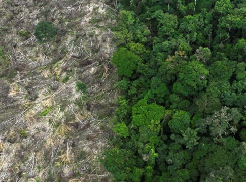 brasil-perdeu-111,7-milhoes-de-hectares-de-areas-naturais-em-40-anos
