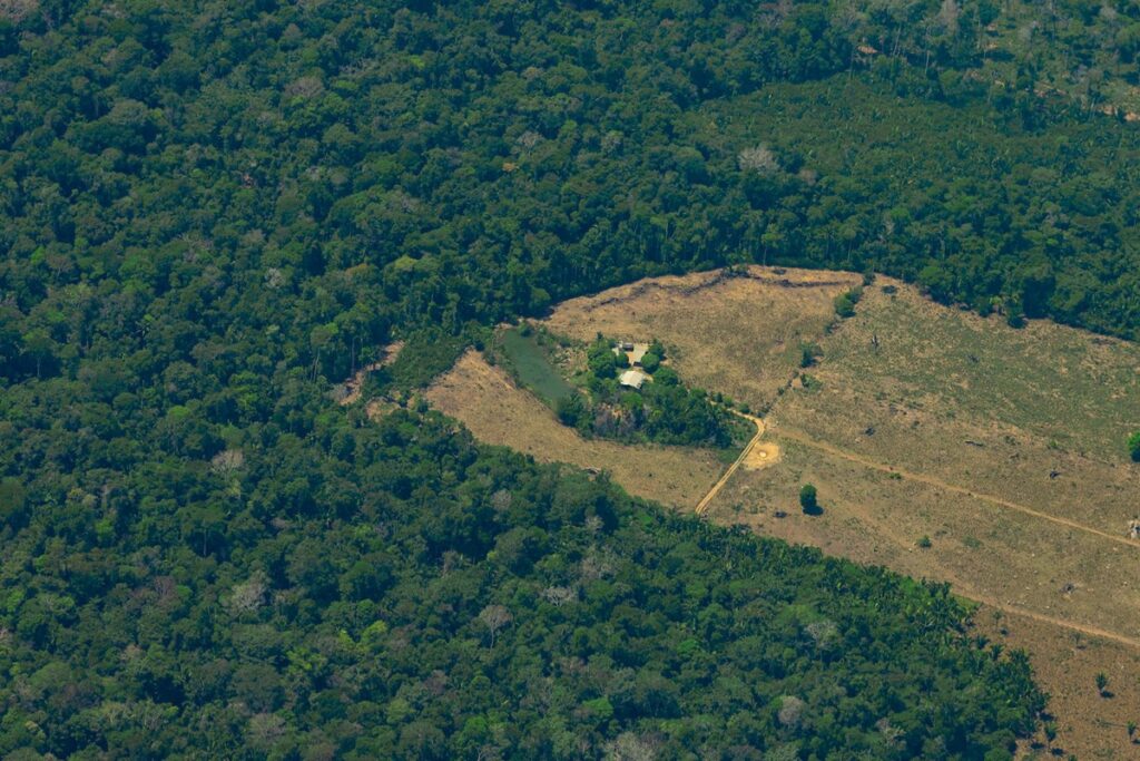 bndes-apoia-restauracao-florestal-com-geracao-de-empregos-na-amazonia