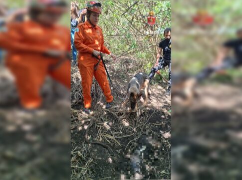 corpo-de-mulher-e-encontrado-enterrado-em-area-de-mata-no-areal