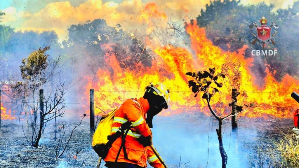 video:-incendios-de-grandes-proporcoes-atingem-nove-regioes-do-df