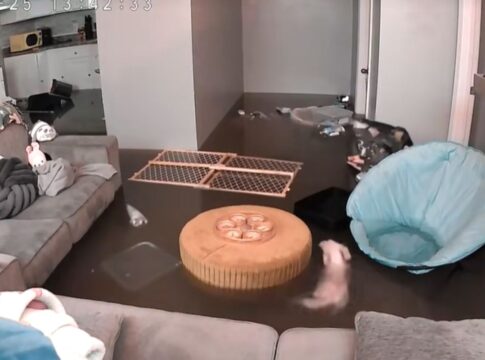 mulher-tem-apartamento-inundado-e-cadela-nada-no-meio-da-sala