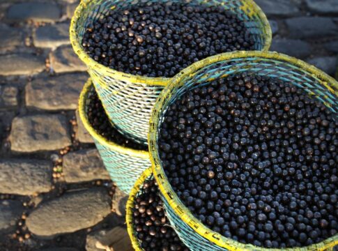 cop30-em-belem-veta-acai,-alimento-presente-em-eventos-anteriores