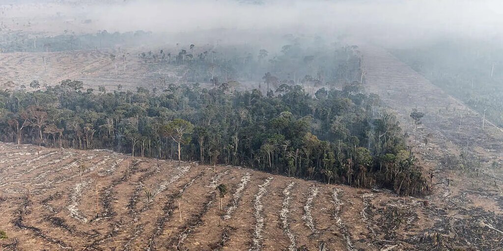 apenas-7%-de-acoes-judiciais-de-grilagem-na-amazonia-tem-condenacao