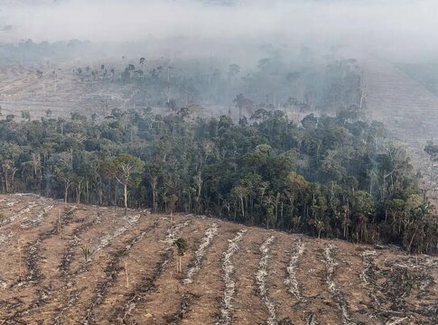 apenas-7%-de-acoes-judiciais-de-grilagem-na-amazonia-tem-condenacao