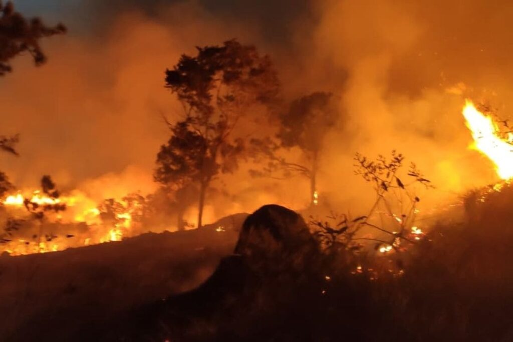 fim-de-semana-tem-incendios-em-ao-menos-7-cidades-em-sp.-veja-imagens
