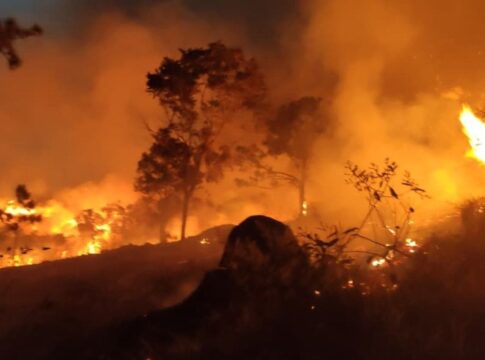 fim-de-semana-tem-incendios-em-ao-menos-7-cidades-em-sp.-veja-imagens