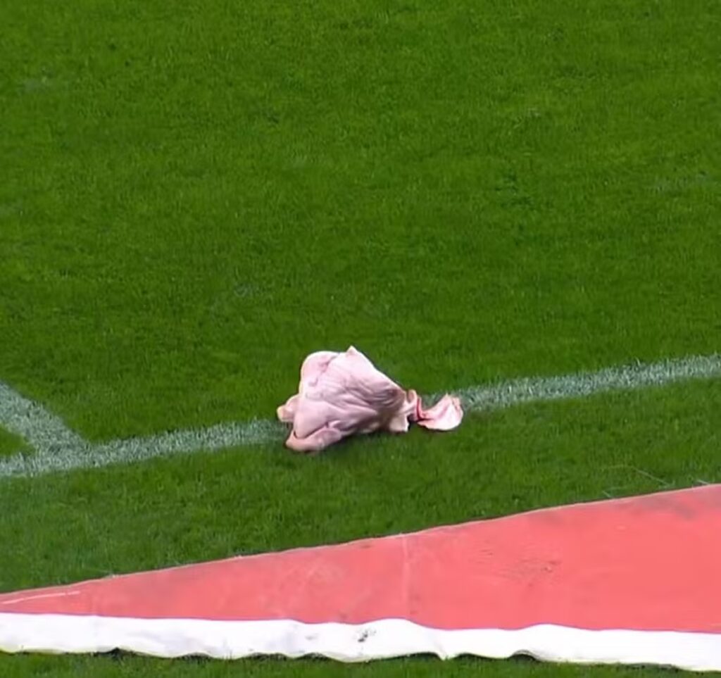 torcedor-do-corinthians-que-atirou-cabeca-de-porco-e-condenado.-veja