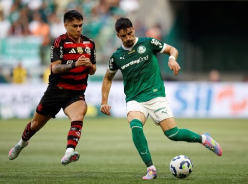 no-topo:-flamengo-e-palmeiras-dominam-o-brasileirao-ha-7-anos