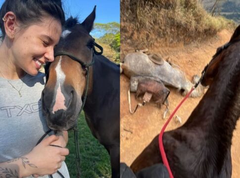 ana-castela-expoe-homem-que-teria-cortado-patas-de-cavalo:-“covarde”