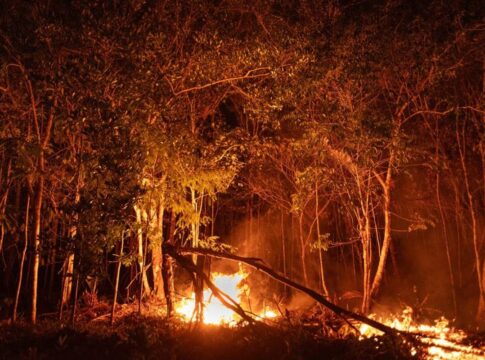 queimadas-no-cerrado-sao-quase-o-dobro-da-amazonia-em-2025