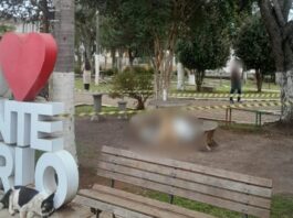 adolescente-de-15-anos-mata-pessoa-em-situacao-de-rua-a-facadas-em-sc