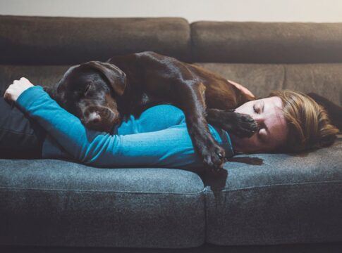 seu-cachorro-dorme-encostado-em-voce?-veja-o-que-isso-significa