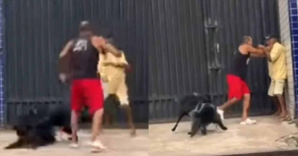 video:-tutores-e-animais-brigam-apos-cao-cheirar-o-traseiro-de-outro