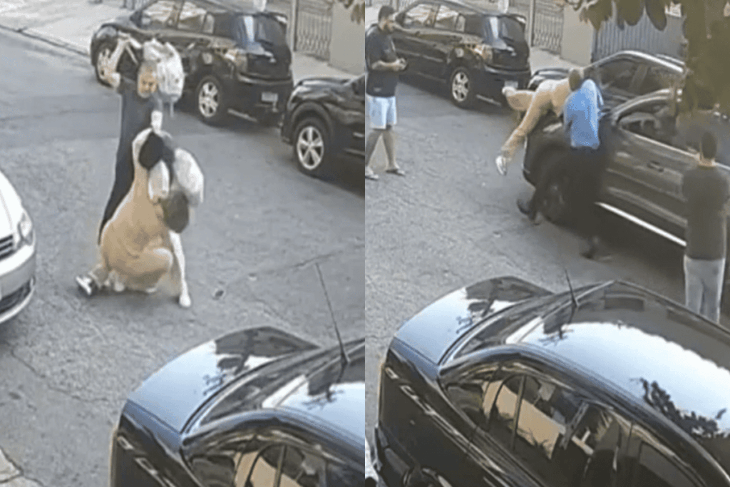 sp:-casais-trocam-socos-por-carro-parado-em-frente-a-condominio.-video