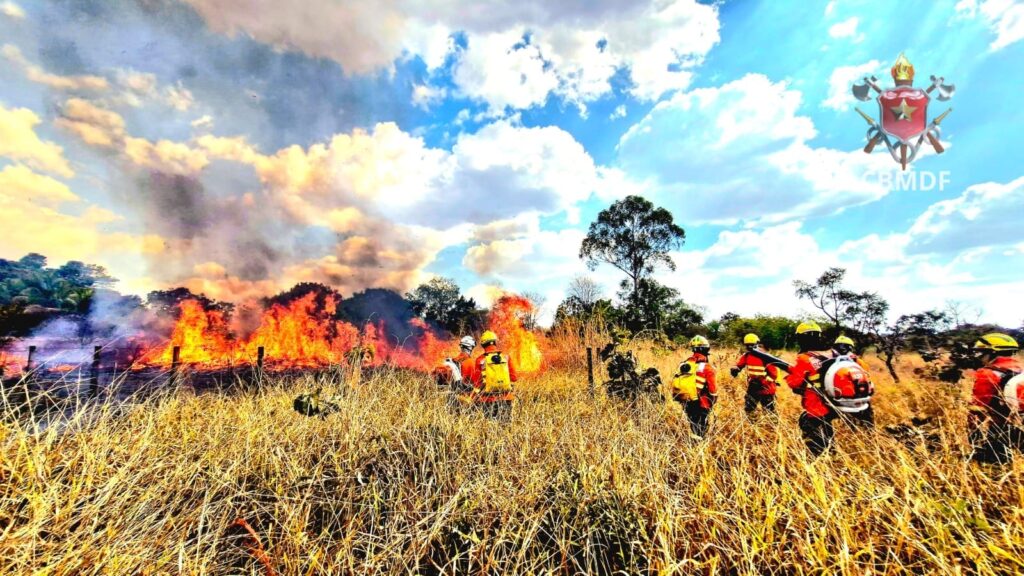 queimadas-devastam-area-equivalente-a-100-campos-de-futebol-no-df