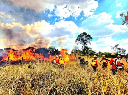 queimadas-devastam-area-equivalente-a-100-campos-de-futebol-no-df