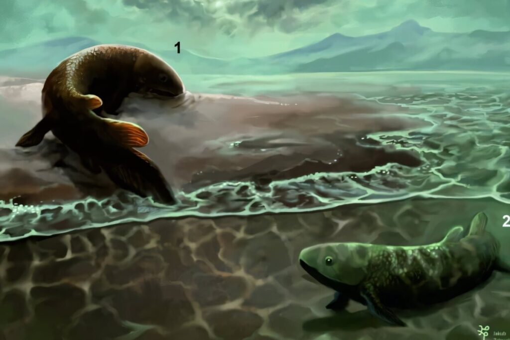 fosseis-revelam-primeiros-passos-de-peixes-rumo-a-vida-em-terra-firme