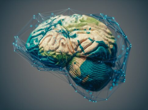 mapa-cerebral-do-corpo-permanece-igual-apos-mesmo-apos-amputacao