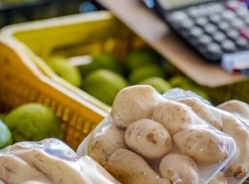 batata-e-cebola-estao-mais-baratas,-diz-conab