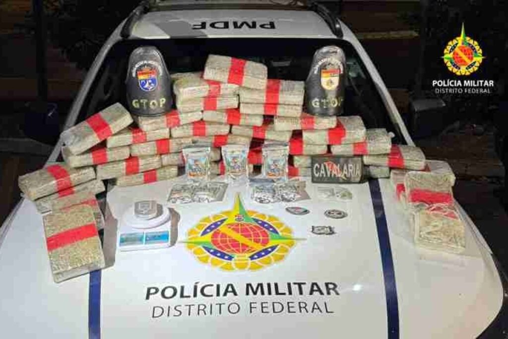 pmdf-apreende-lote-de-“supermaconha”-que-valeria-r$-1-milhao-nas-ruas