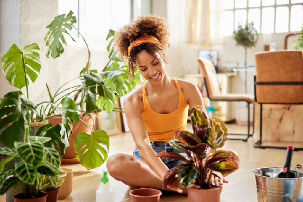 plantas-que-podem-bloquear-sua-vida-amorosa,-segundo-o-feng-shui